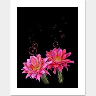 Colorful Cactus Flowers with Bubbles Posters and Art